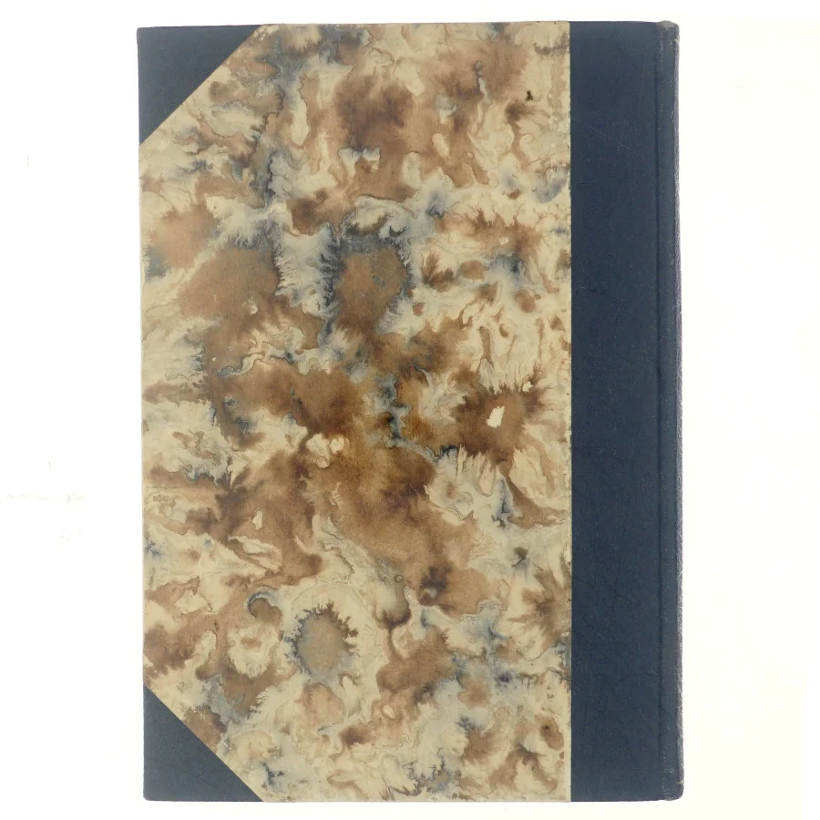 Kim af Vibeke Malthe-Bruun (bog