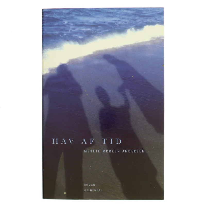 Hav af tid : roman af Merete Morken Andersen (Bog)