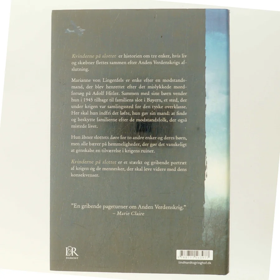 Kvinderne på slottet af Jessica Shattuck (Bog)