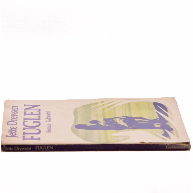 Fuglen af Jette Drewsen (Bog)