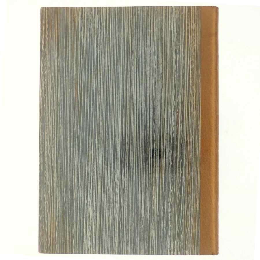 Den indviede vender tilbage