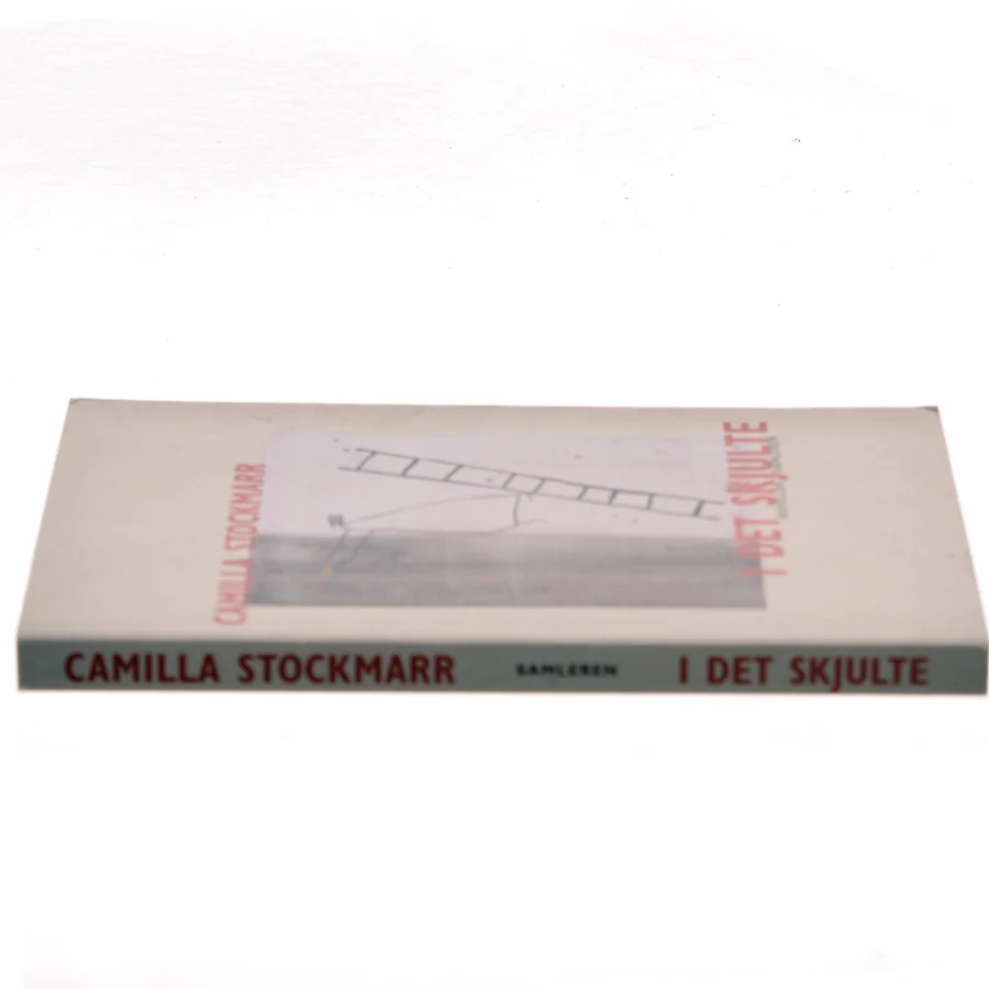 I det skjulte : noveller af Camilla Stockmarr (Bog)