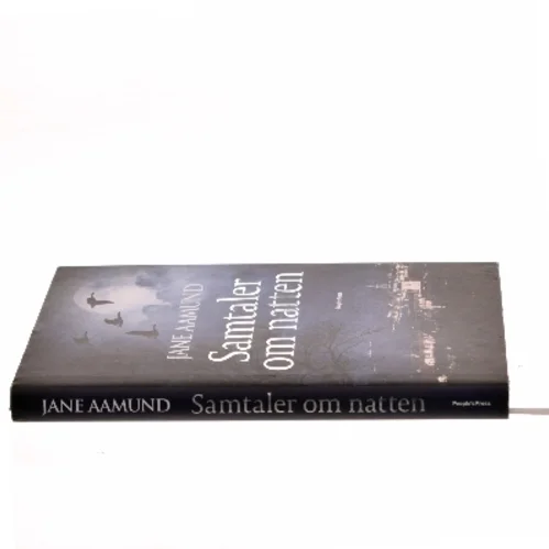 Samtaler om natten af Jane Aamund (Bog)