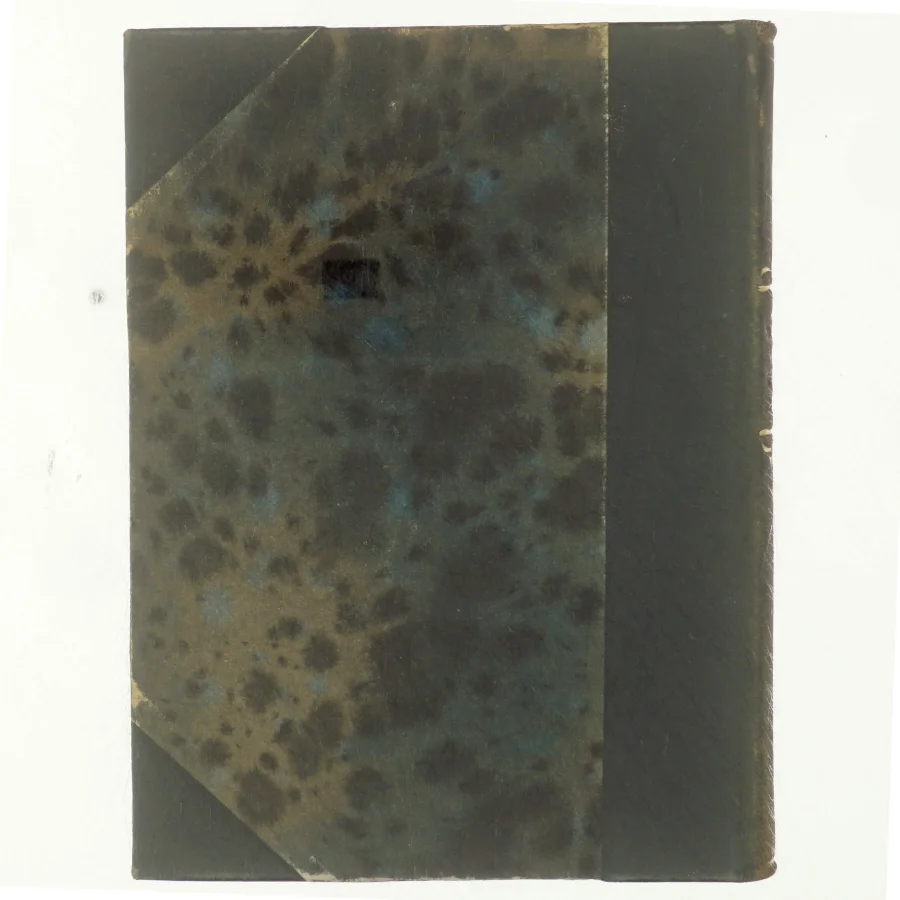 Det ottende underværk af A.S.M. Hutchinson (bog)