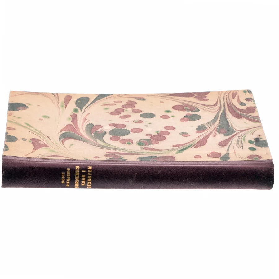 Børnenes Kår i Storbyen af Sofie Rifbjerg (bog)