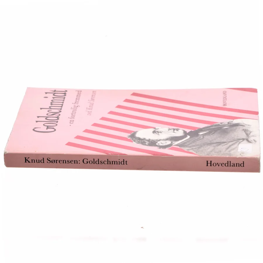Goldschmidt - en fortrolig fremmed af Knud Sørensen (bog)