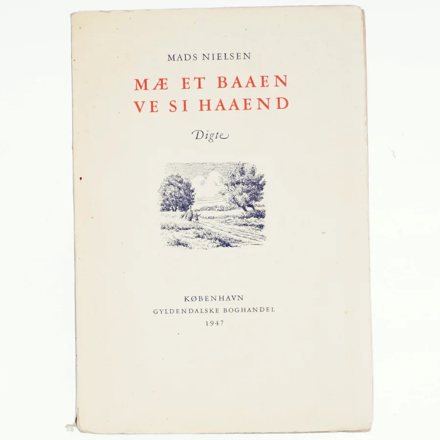 Mæ et baaen ve si haaend af Mads Nielsen (bog)
