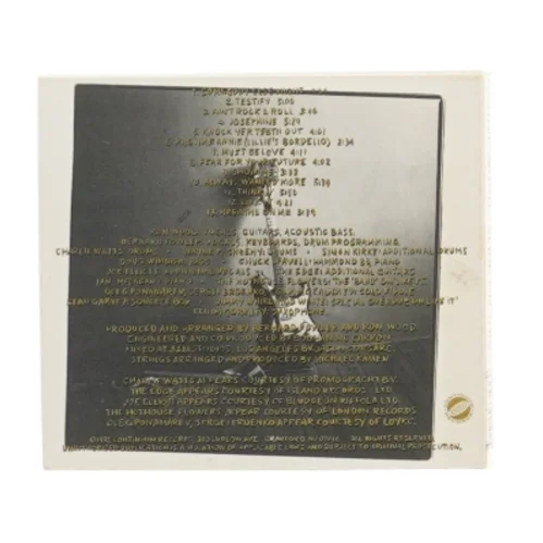 Ronnie Wood - Slide On This CD fra Ronnie Wood