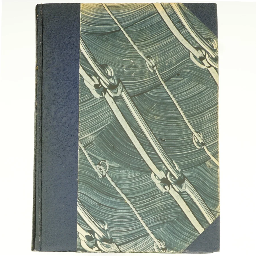 Tigerland og Sydhav af Olle Strandberg (bog)