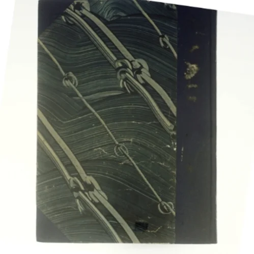 Tigerland og Sydhav af Olle Strandberg (bog)