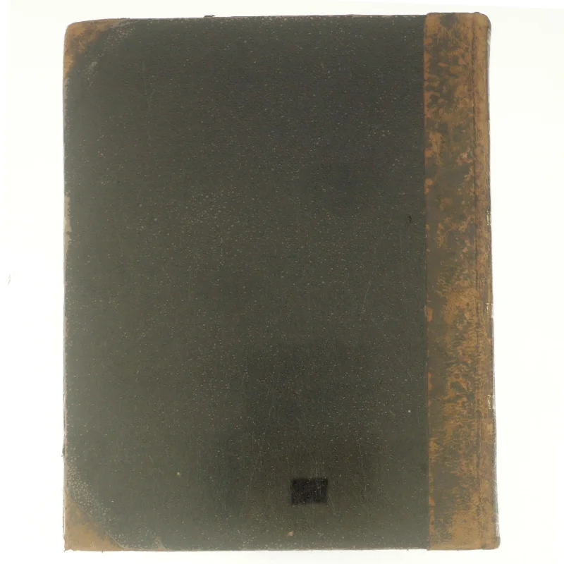 Henrik Pontoppidan: Torben og Jytte