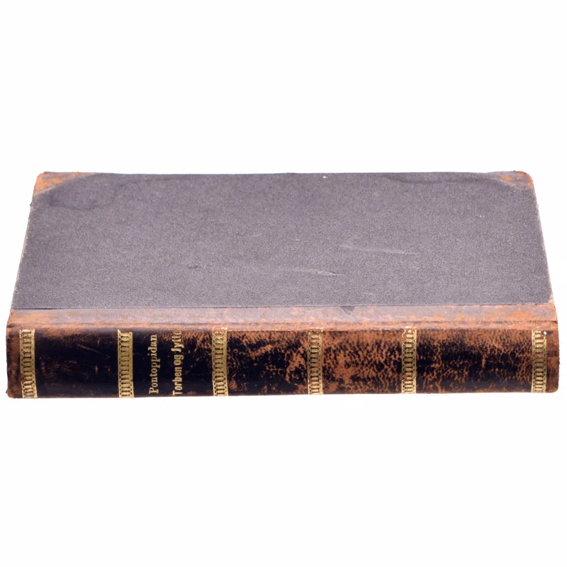 Henrik Pontoppidan: Torben og Jytte