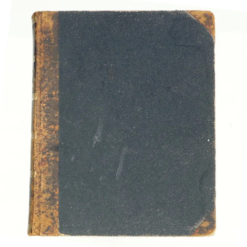 Henrik Pontoppidan: Torben og Jytte