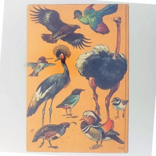 Alverdens fugle (Bog)