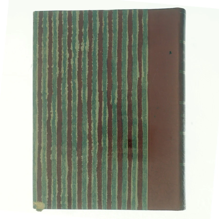 En amerikansk tragedie I af Theodor Dreiser (bog)