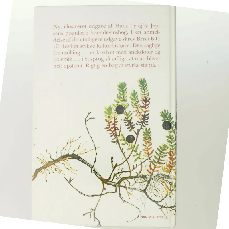 Brændevin bjesk og bitter af Hans Lyngby Jepsen (Bog)