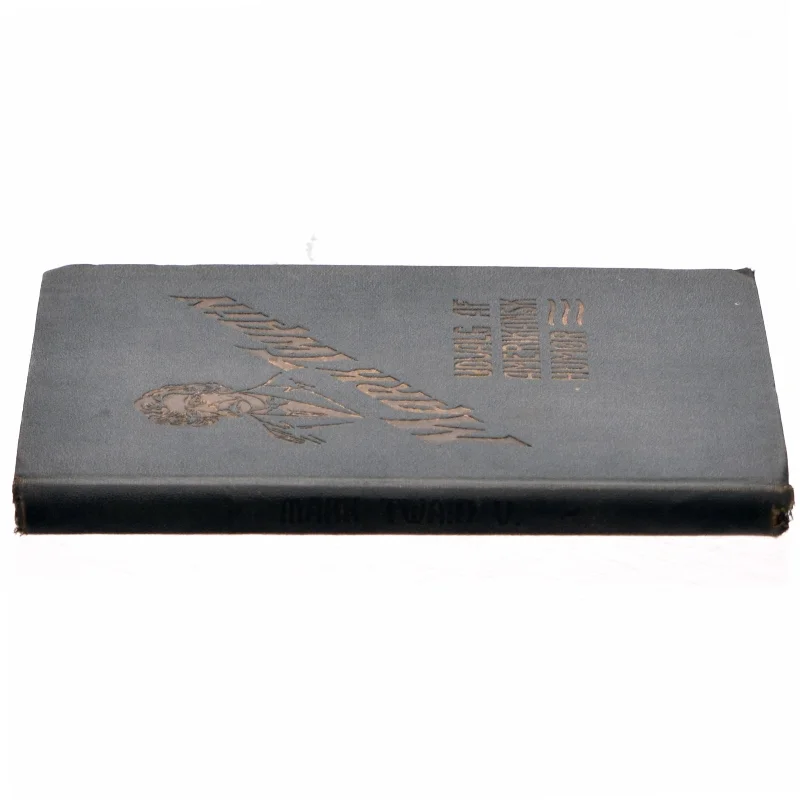 Udvalg af amerikansk humør af Mark Twain (bog)