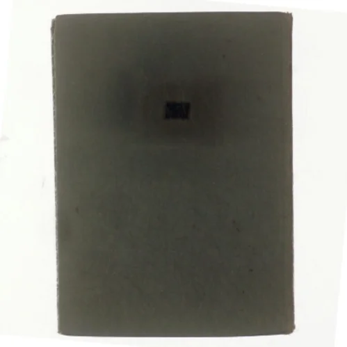 Udvalg af amerikansk humør af Mark Twain (bog)