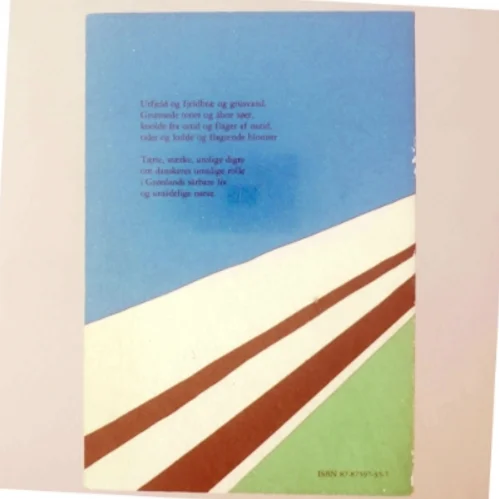 Vagn Steen: Grønland ler af mig og fortæller