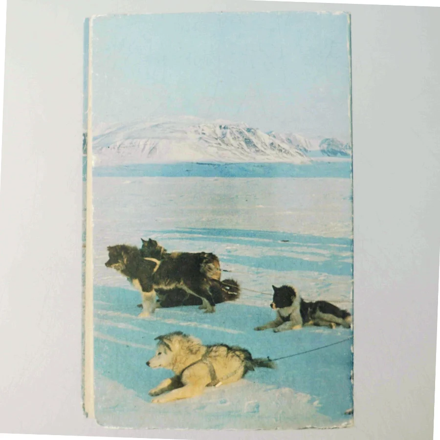 Johs. Holsting: Grønlands pionerer