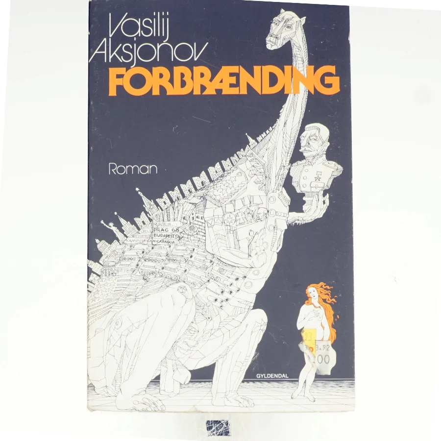 Forbrænding af Vasilij Aksjonov (bog)