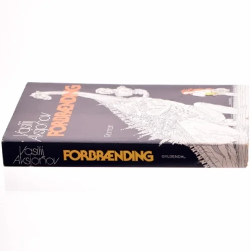 Forbrænding af Vasilij Aksjonov (bog)