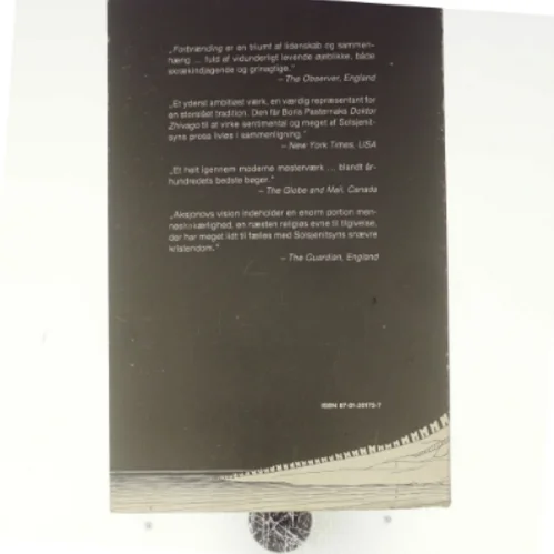 Forbrænding af Vasilij Aksjonov (bog)