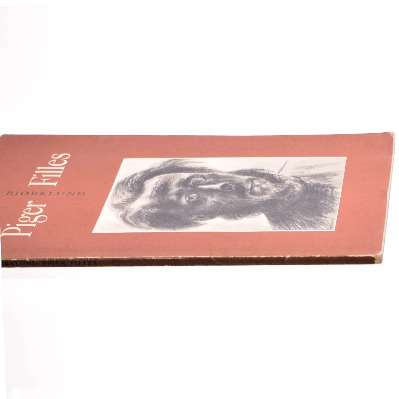 Piger - Filles af Poul Bjørklund (bog)