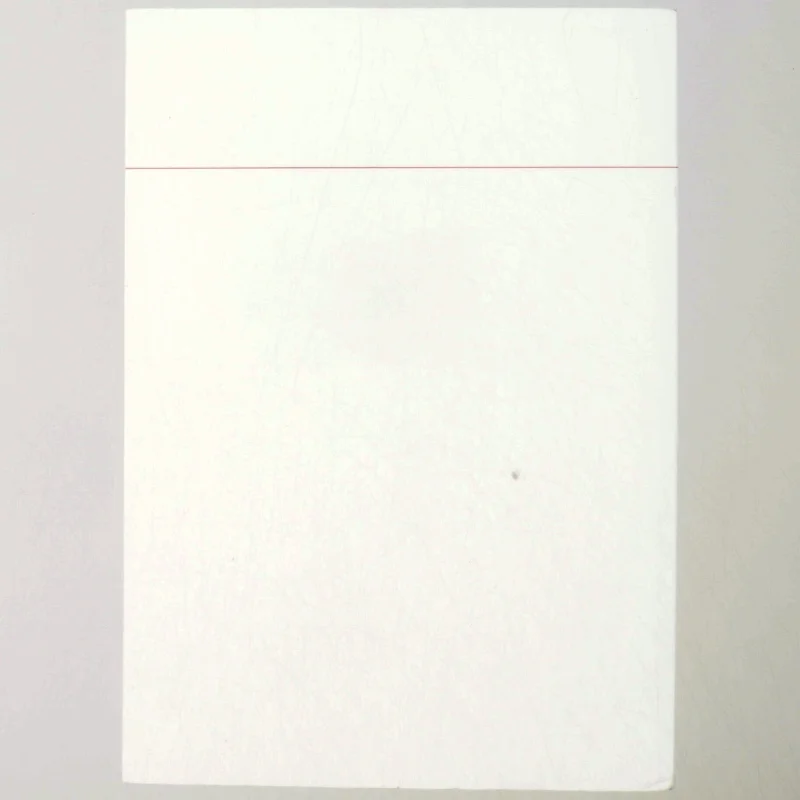 The Copenhagen Diplomatic List