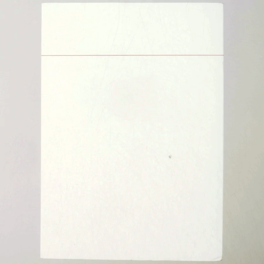 The Copenhagen Diplomatic List