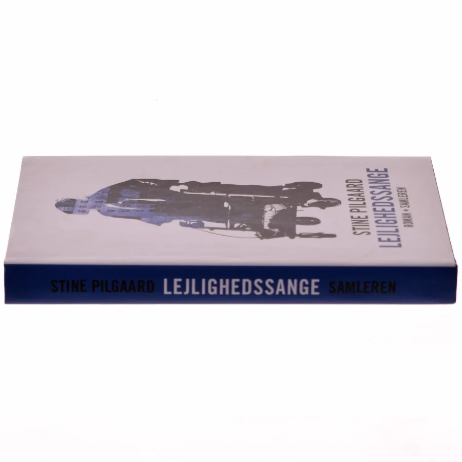 Stine Pilgaard: Lejlighedssange