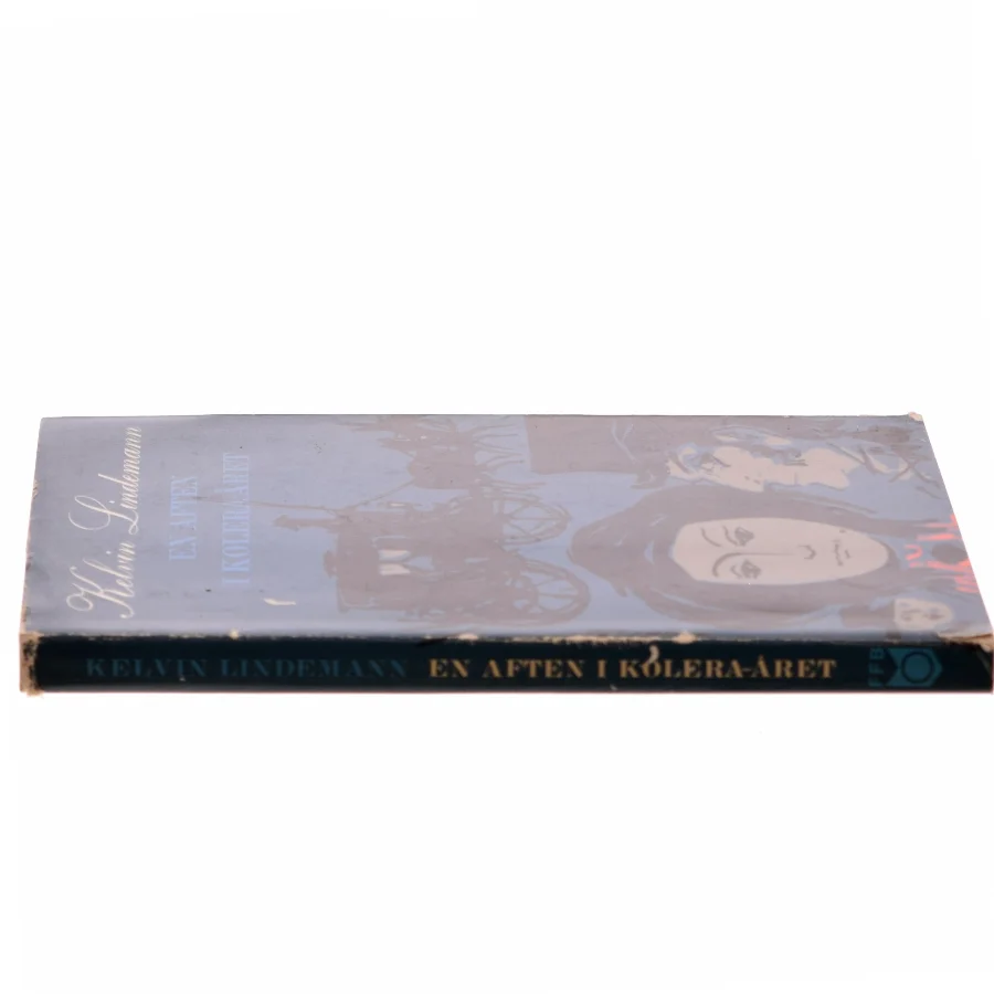 En aften i kolera-året af Kelvin Lindemann (Bog)