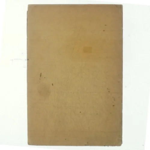 Anton Hansen og Johannes V. Jensen i Palæstina (bog)