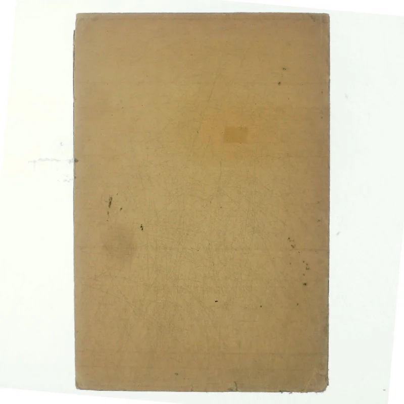 Anton Hansen og Johannes V. Jensen i Palæstina (bog)