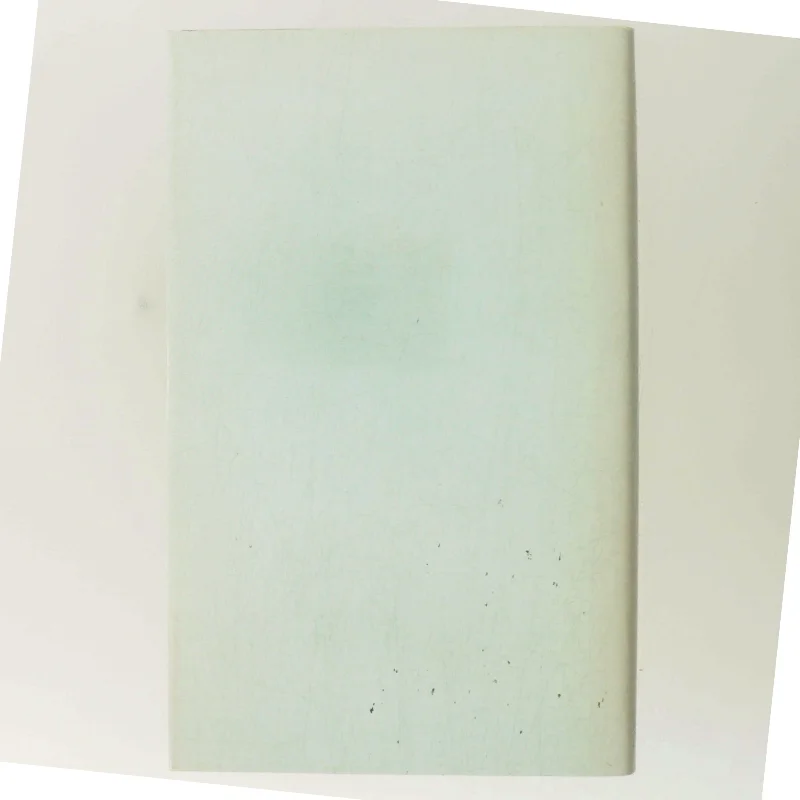 Lille menneske af Charlotte Strandgaard (Bog)