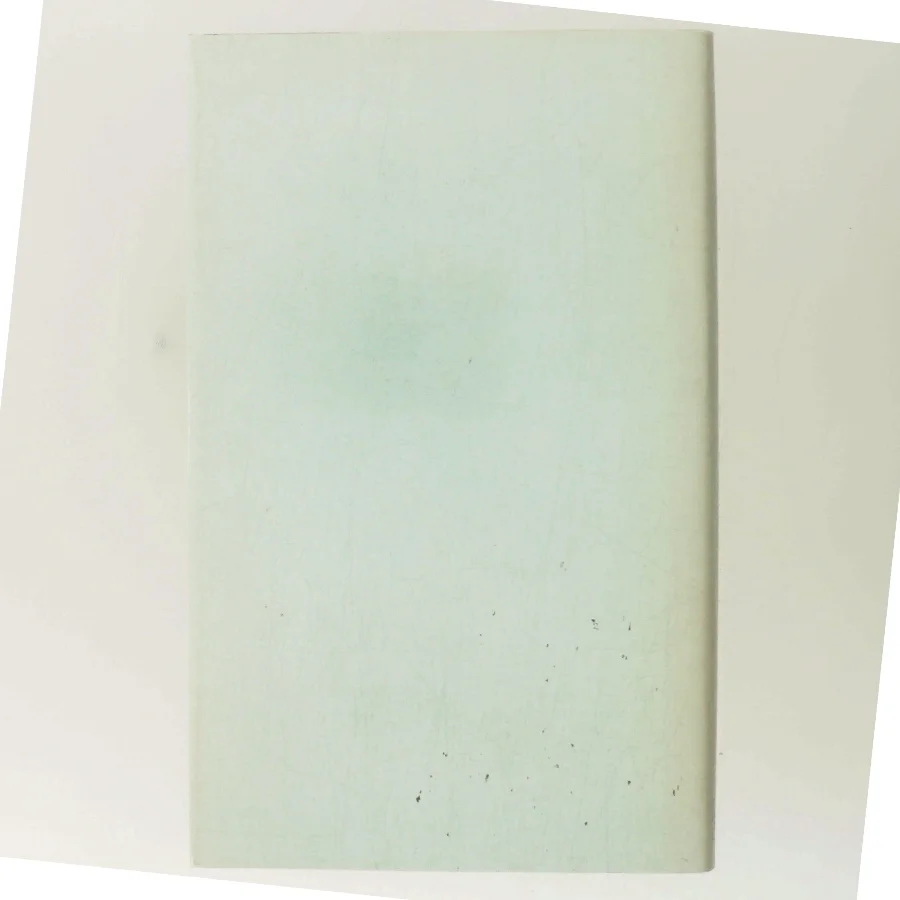 Lille menneske af Charlotte Strandgaard (Bog)