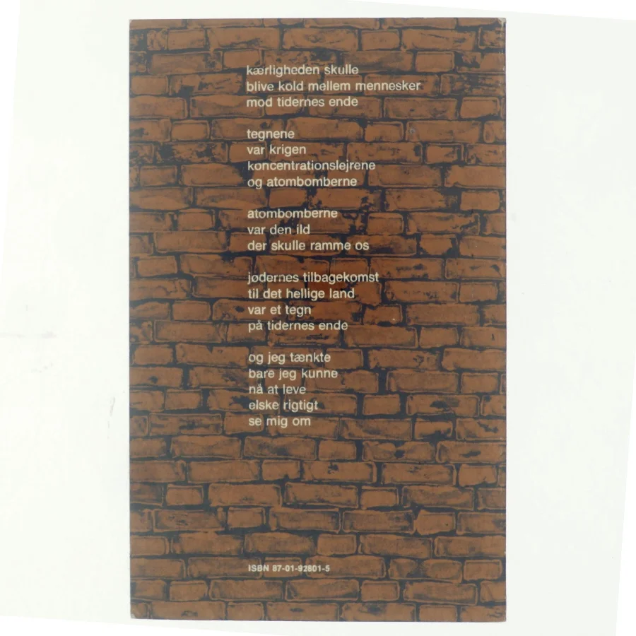 Drengedigte af Lean Nielsen (Bog)