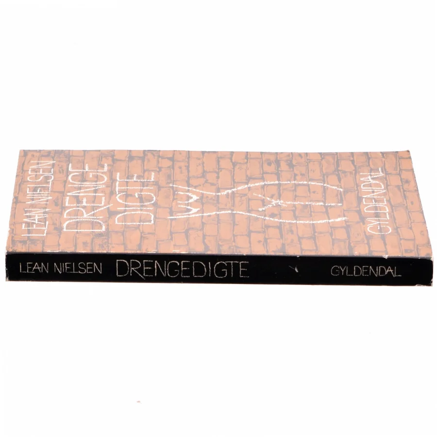 Drengedigte af Lean Nielsen (Bog)