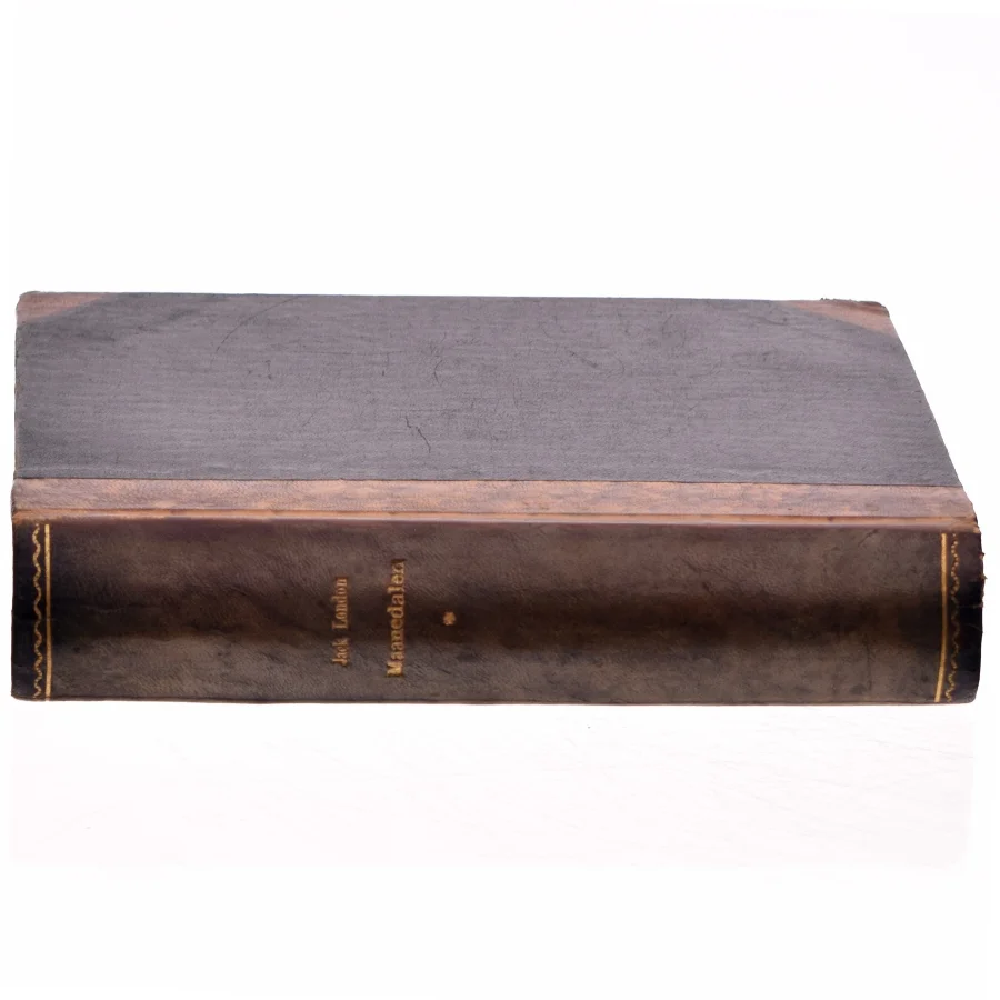 Månedalen I-II af Jack London (bog)