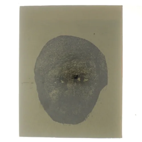 Indimellem af Søren Kjærsgaard (bog)