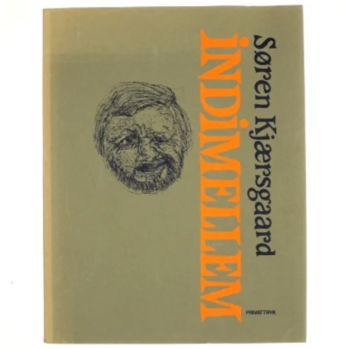 Indimellem af Søren Kjærsgaard (bog)