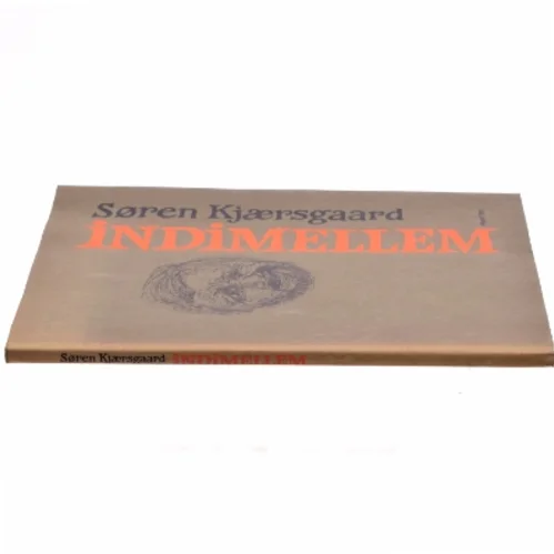 Indimellem af Søren Kjærsgaard (bog)