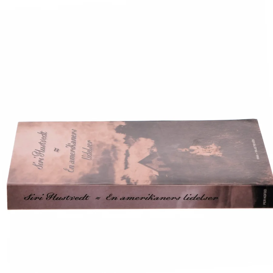 En amerikaners lidelser : roman af Siri Hustvedt (Bog)
