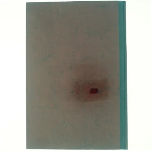 Tre huse på Christianshavn af Harald Langberg (bog)