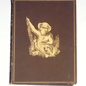 Pattedyr af Johan Martin Bugge (bog)