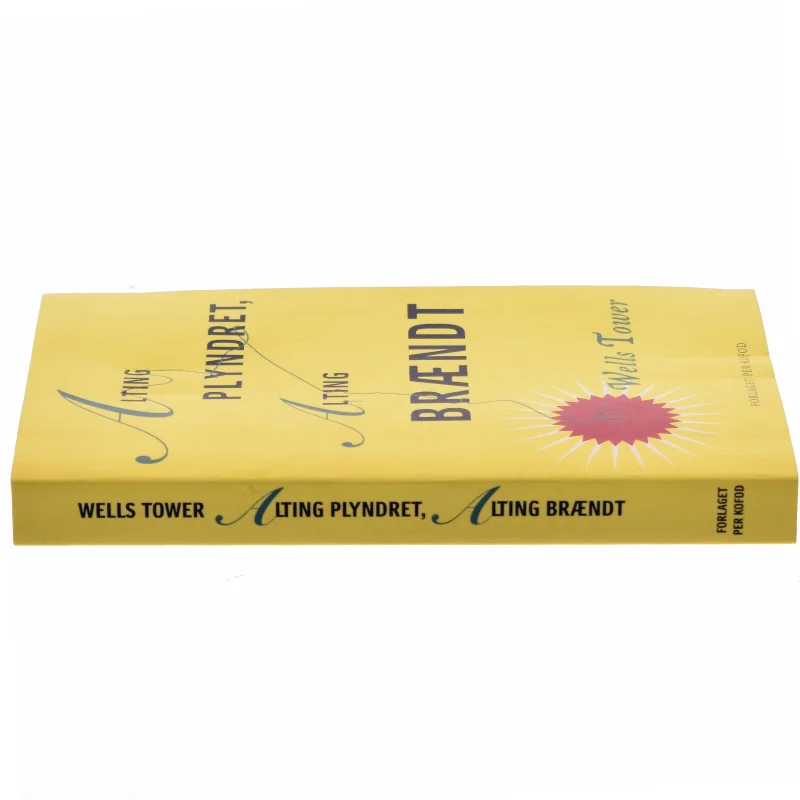 Alting plyndret, alting brændt : fortællinger af Wells Tower (Bog)