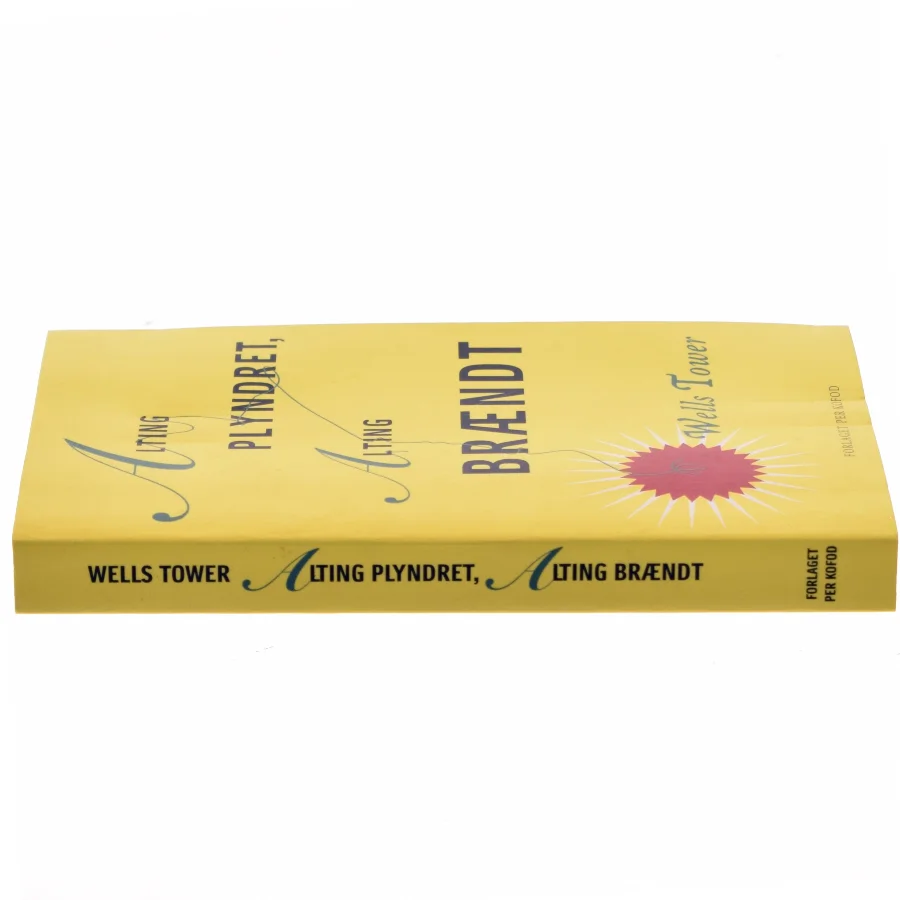 Alting plyndret, alting brændt : fortællinger af Wells Tower (Bog)