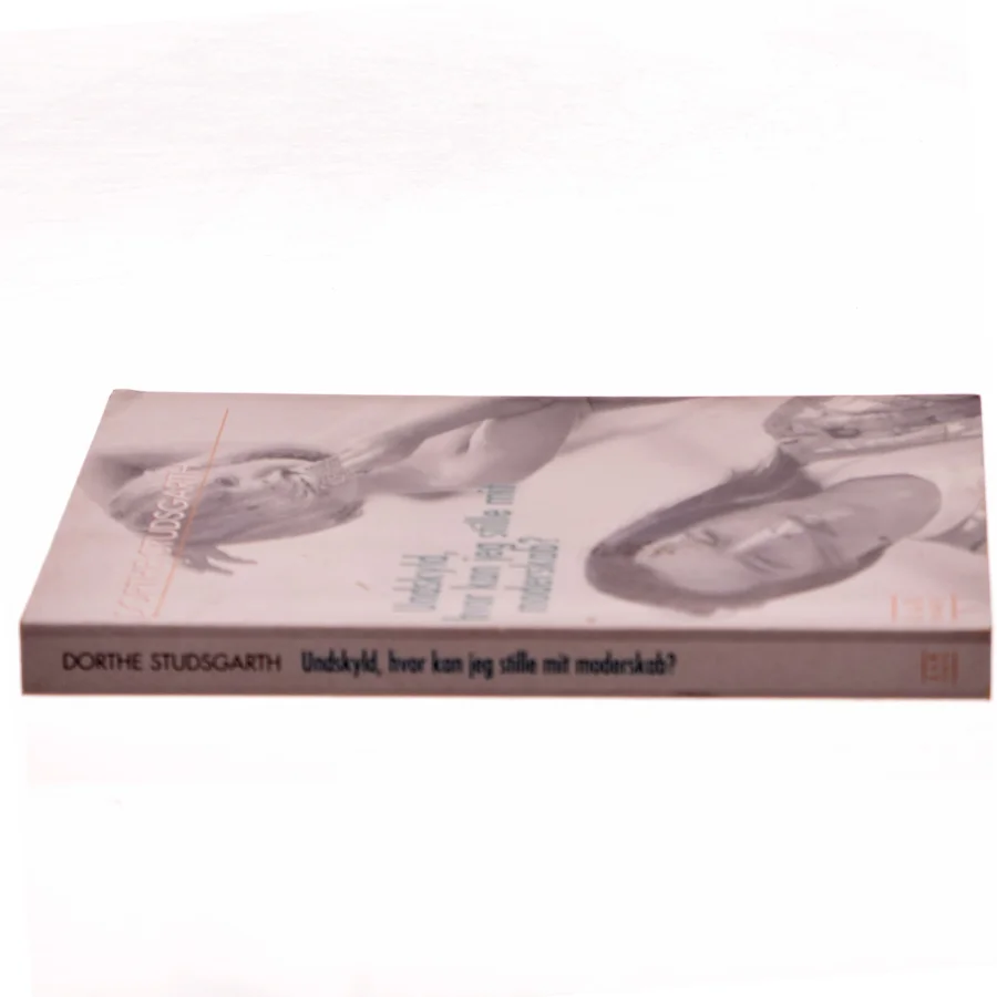 Undskyld, hvor kan jeg stille mit moderskab? af Dorthe Studsgarth (Bog)