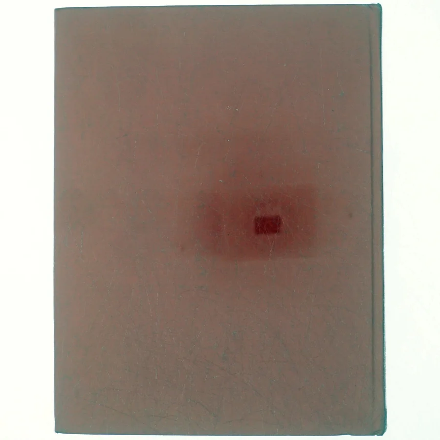 De 4000 mest anvendte ord i det russiske sprog (bog)