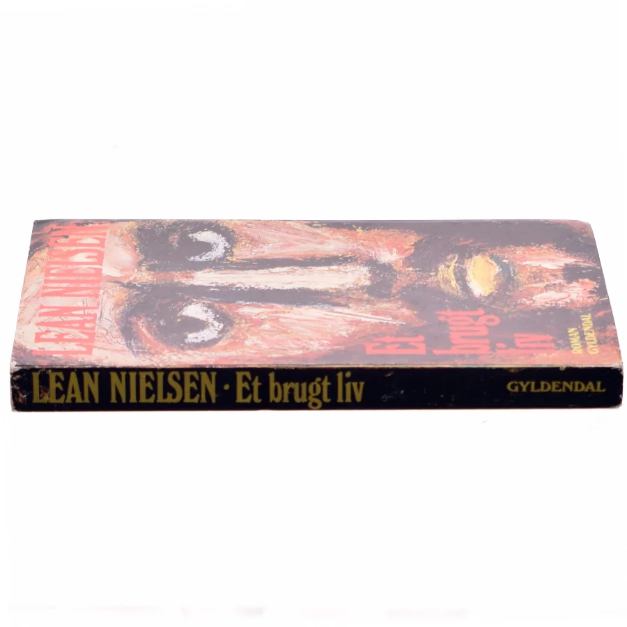 Et brugt liv af Lean Nielsen (bog)